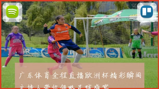 广东体育全程直播欧洲杯精彩瞬间主持人带你领略足球盛宴