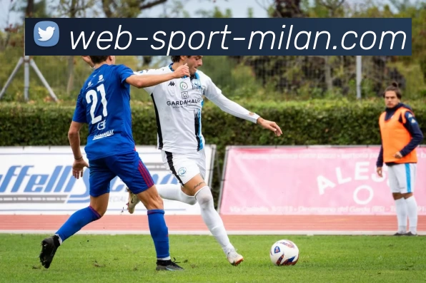 米兰官网平台生态图